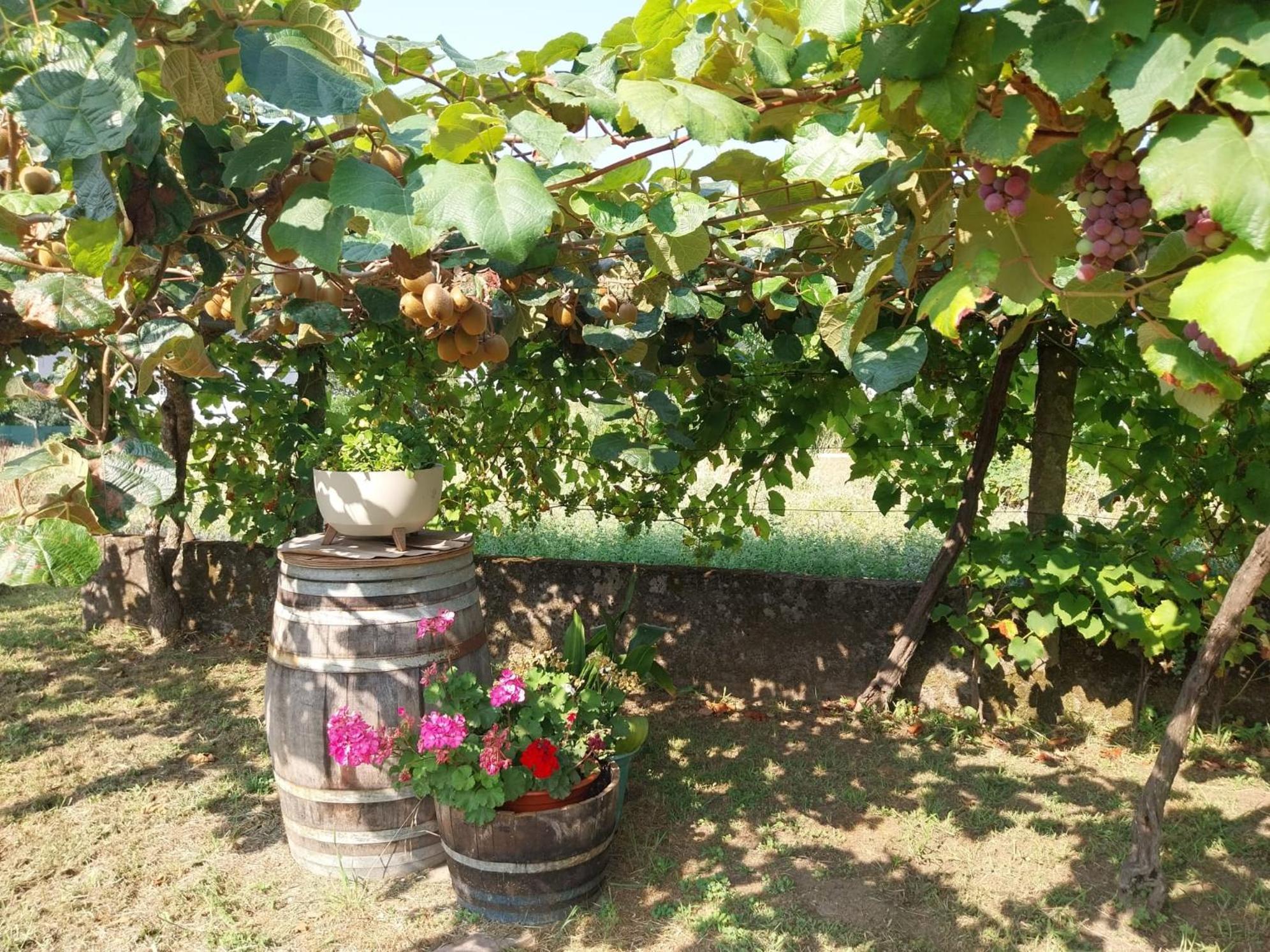 O Berce Padron Casa Rural 外观 照片